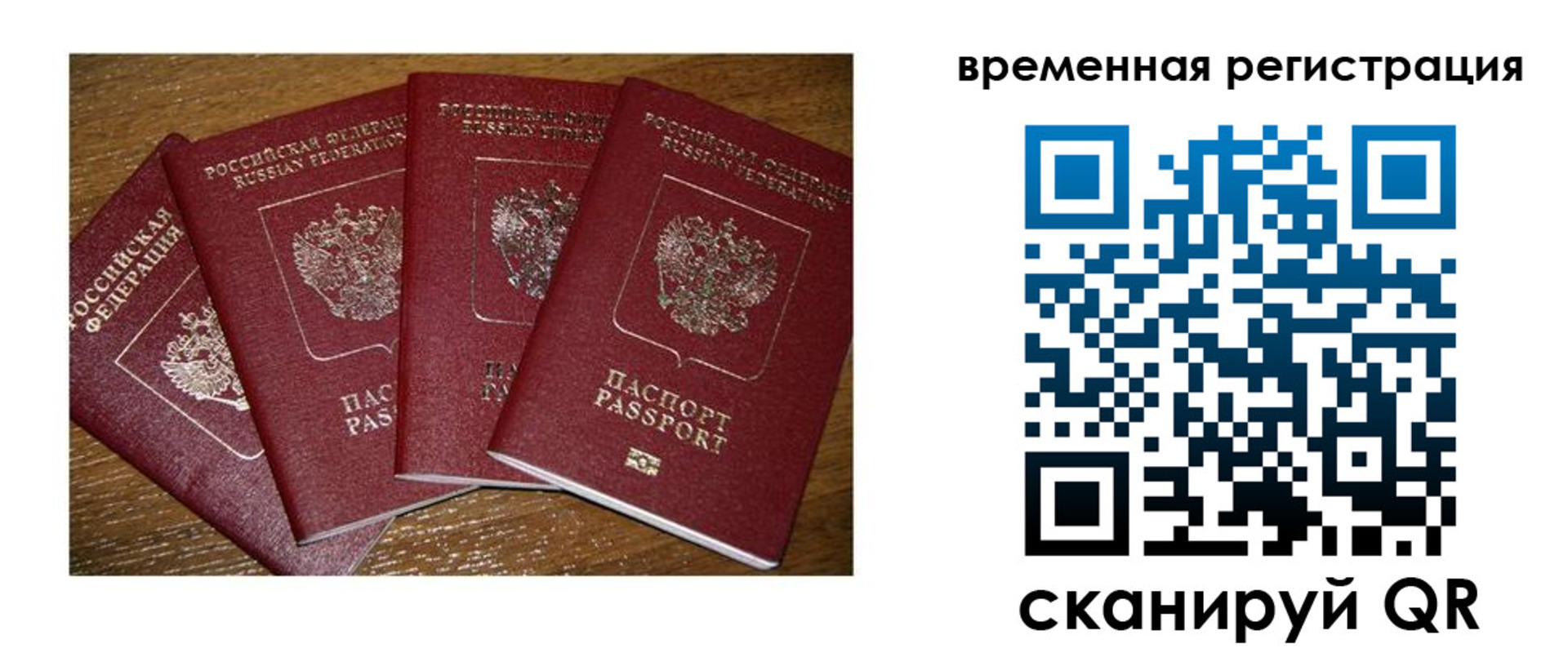найти адрес прописки в Ельне